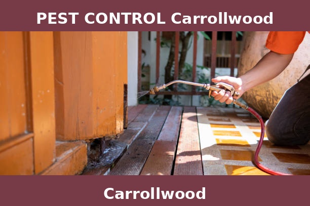 PEST CONTROL Carrollwood